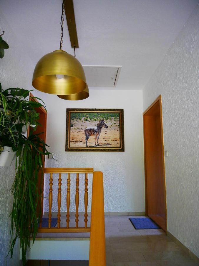 Ferienwohnung Eichkatzel Zell Екстериор снимка